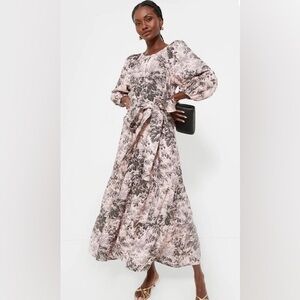 Tuckernuck - Toile Lyles Midi Dress - Small - NWT